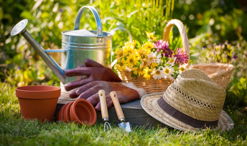 Gardening Supplies